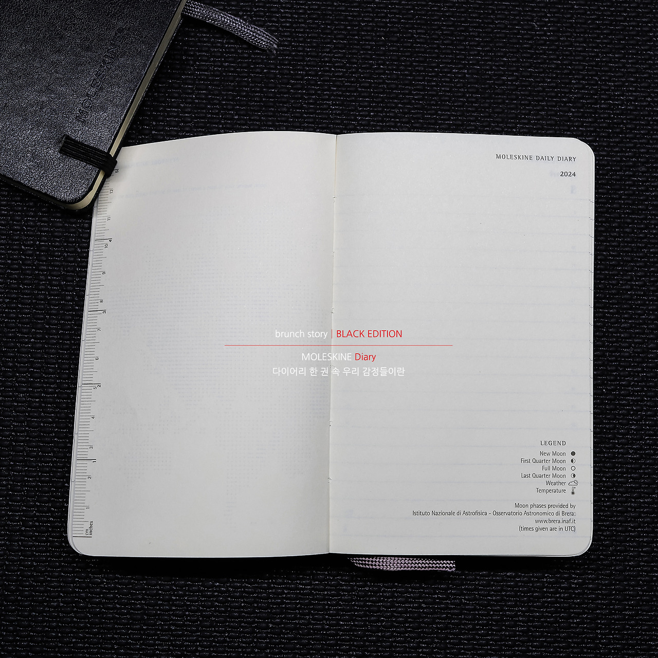 MOLESKINEDiary283.jpg