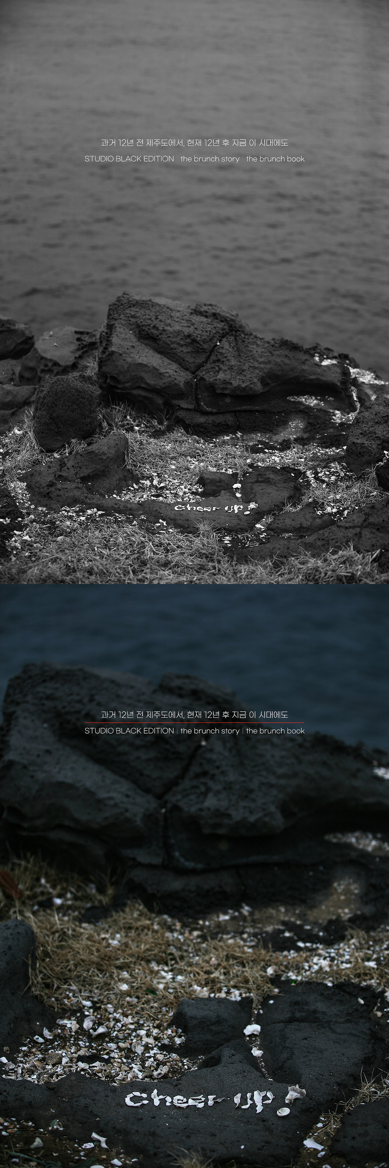 THE BRUNCH STORY 487.jpg