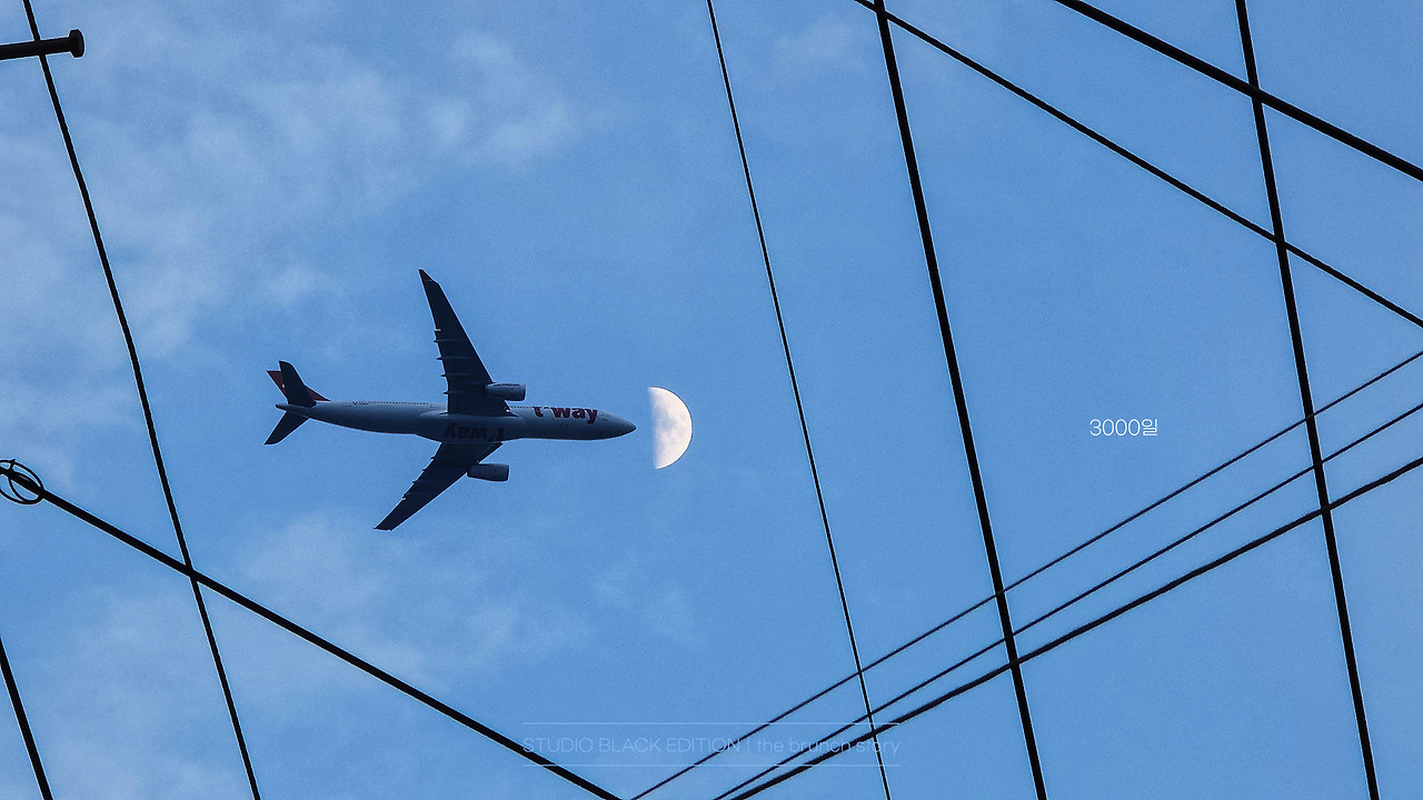 THE BRUNCH STORY 643.jpg