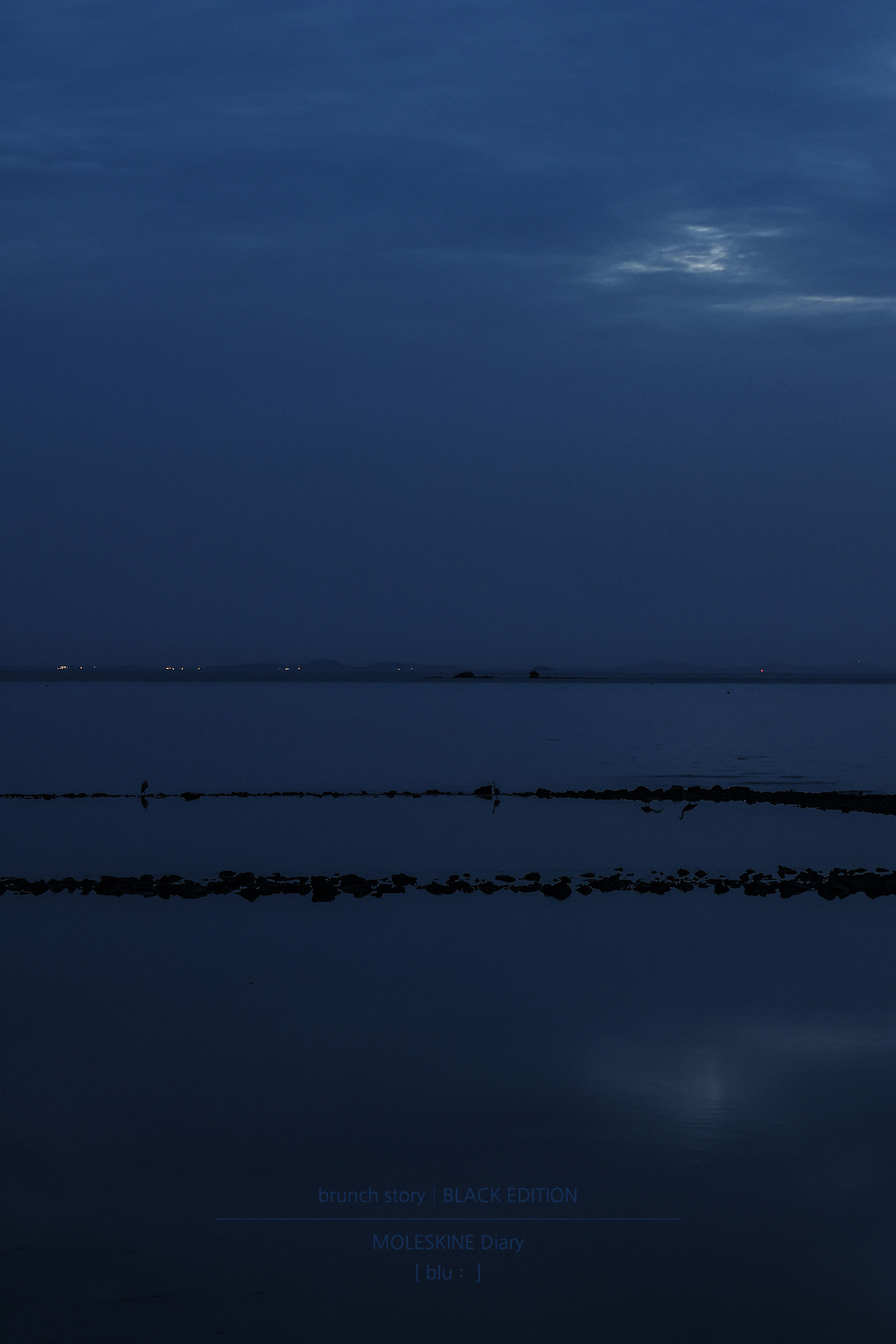 MOLESKINEDiary264.jpg