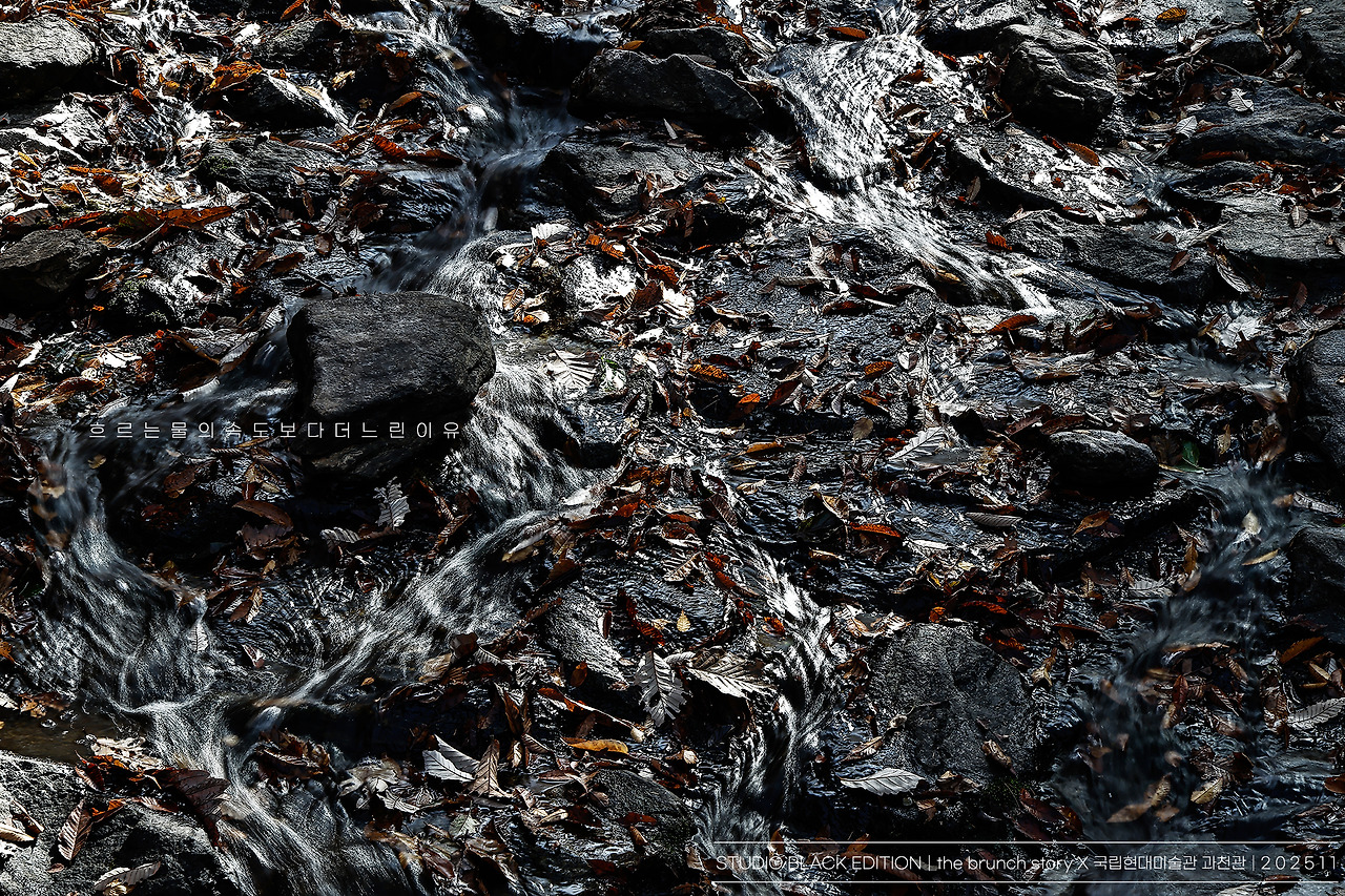 THE BRUNCH STORY 762.jpg