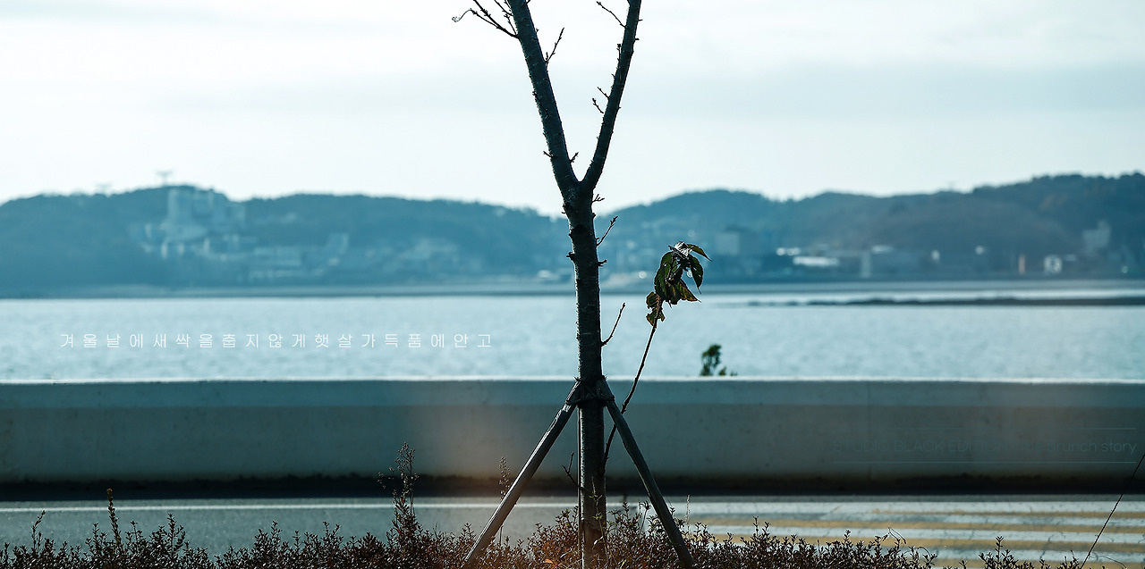 THE BRUNCH STORY 778.jpg