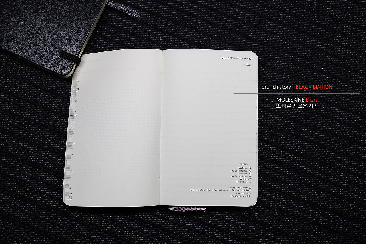 MOLESKINEDiary015.jpg