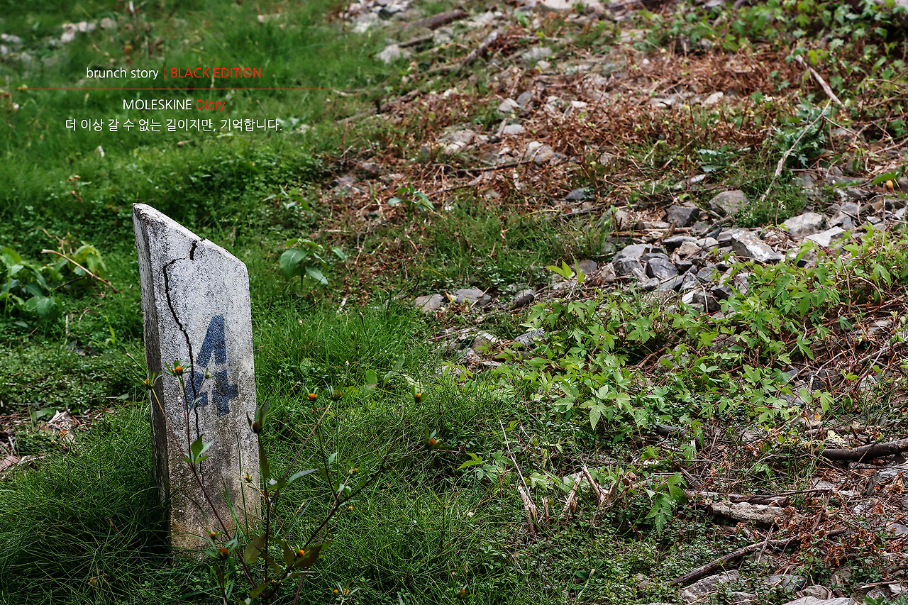 MOLESKINEDiary204.jpg