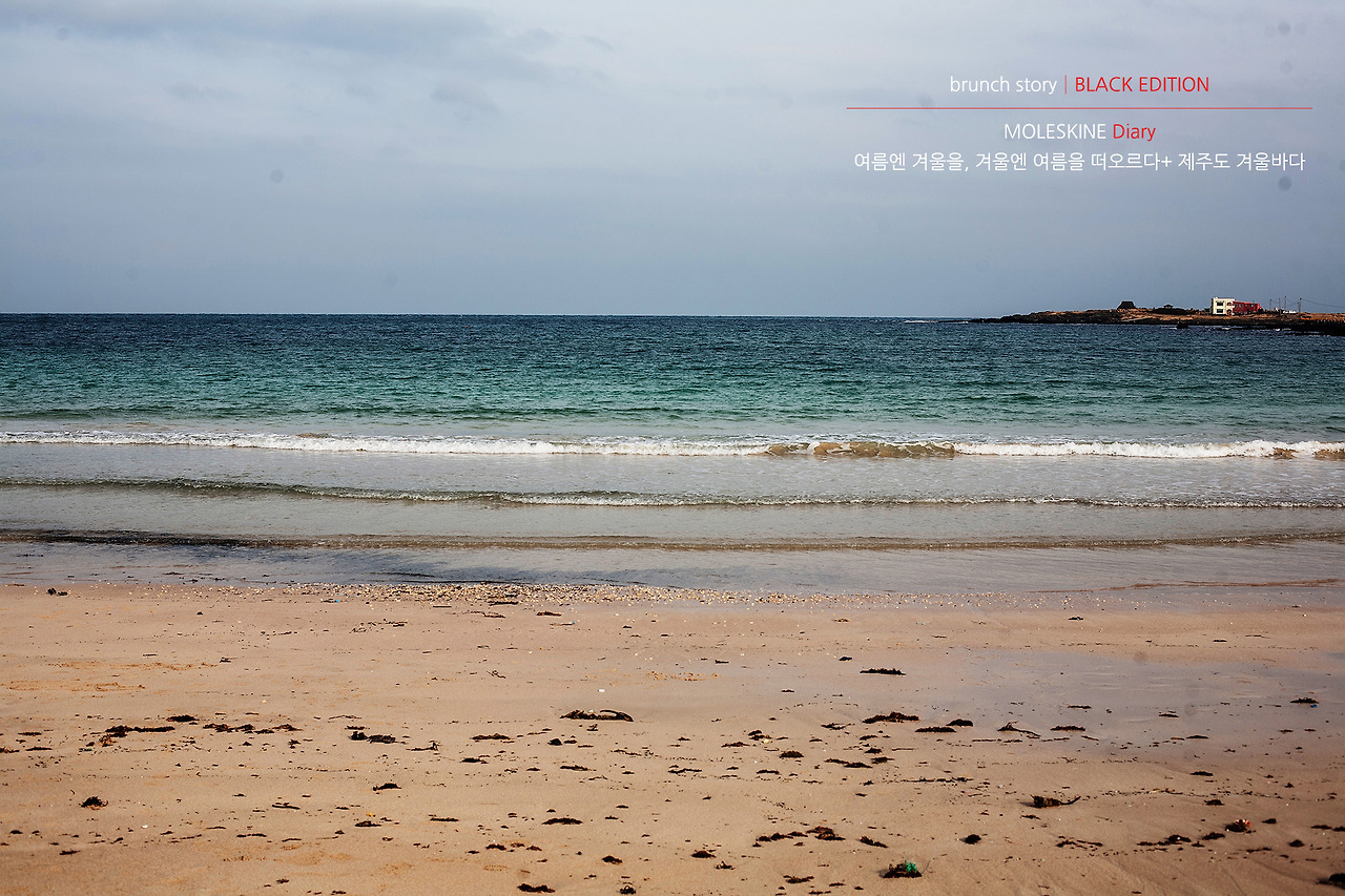 MOLESKINEDiary242.jpg
