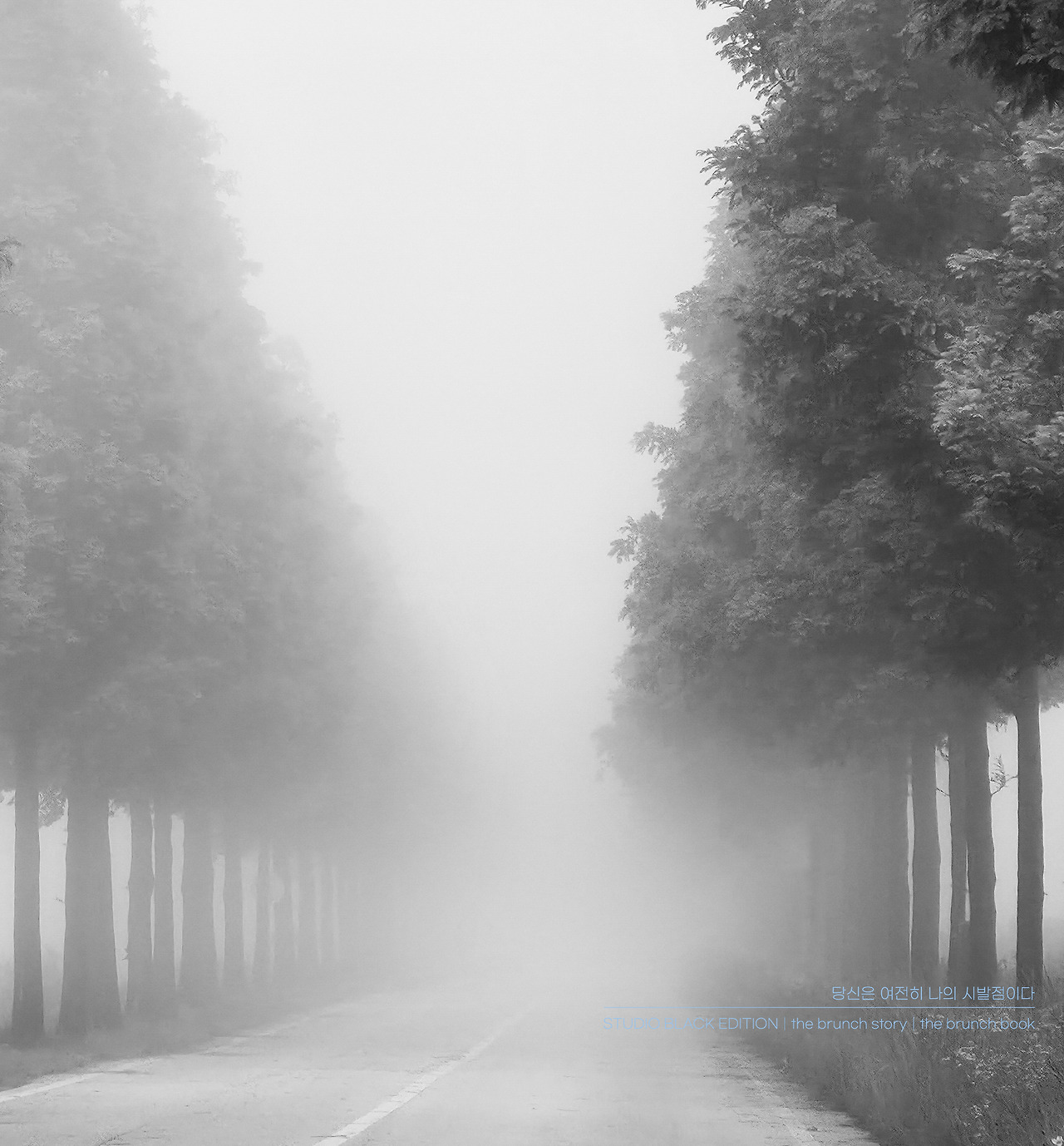 THE BRUNCH STORY 611.jpg