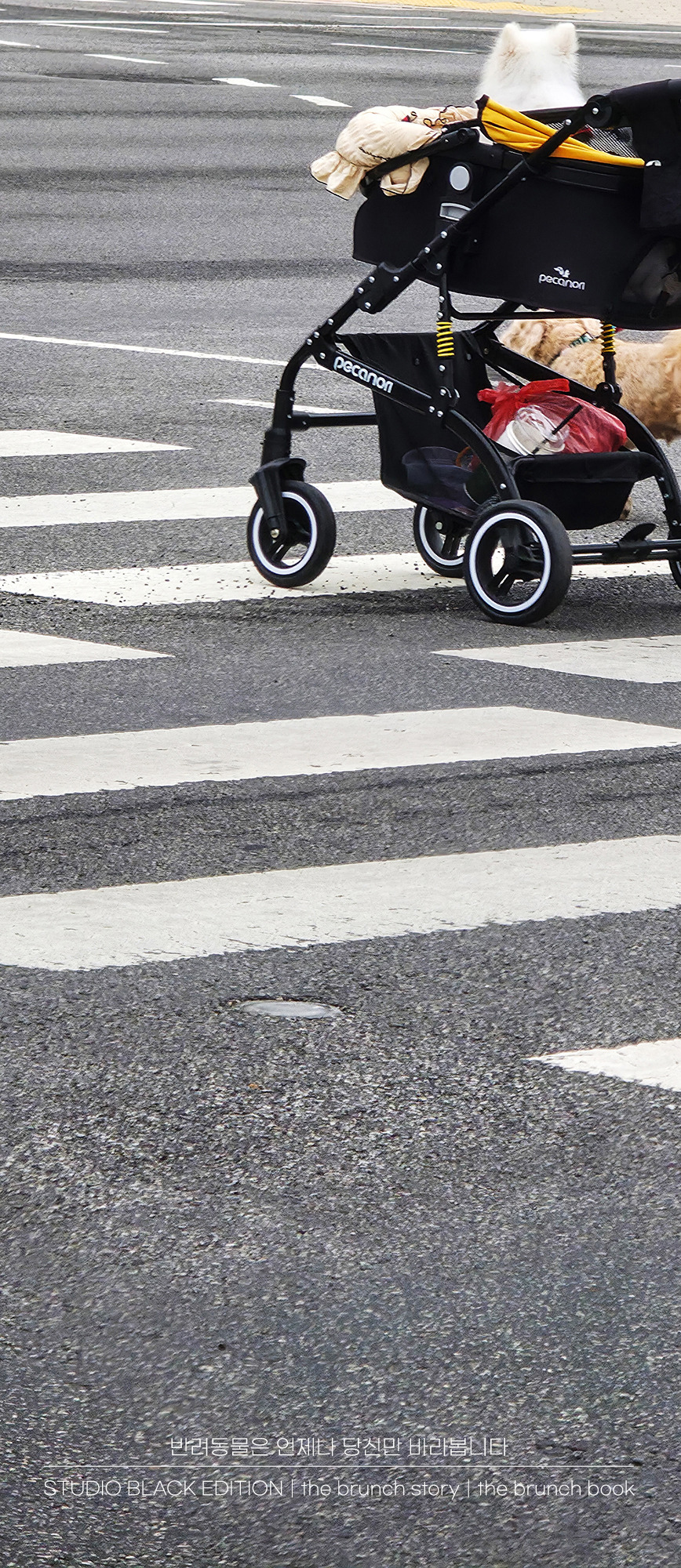 THE BRUNCH STORY 615.jpg