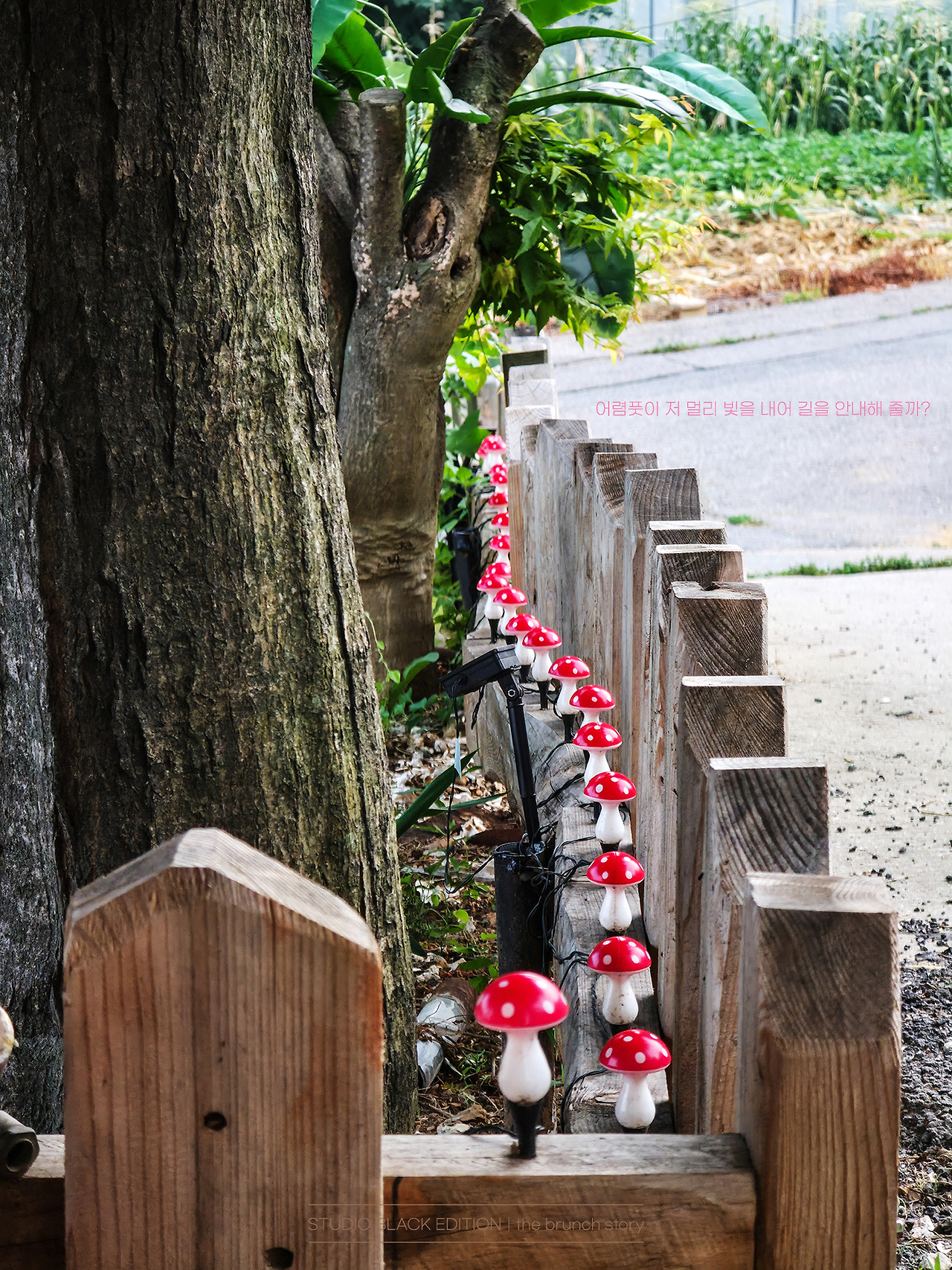 THE BRUNCH STORY 666.jpg