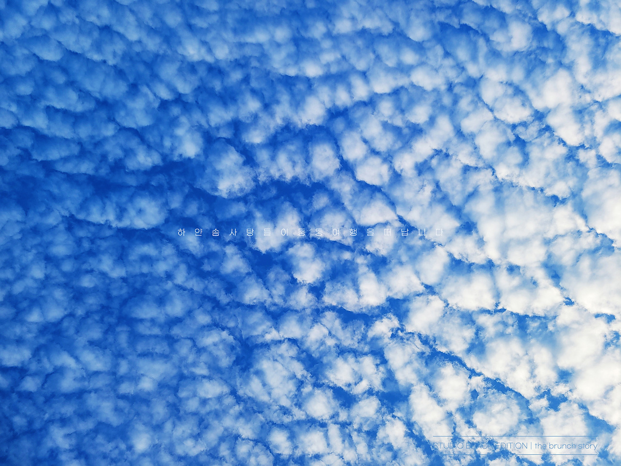 THE BRUNCH STORY 748.jpg