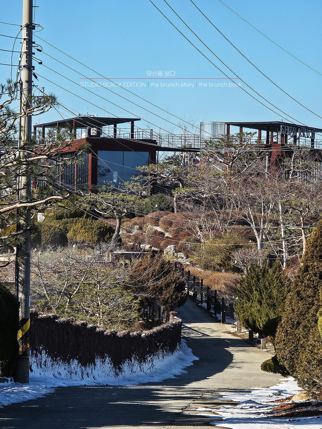 THE BRUNCH STORY 518.jpg