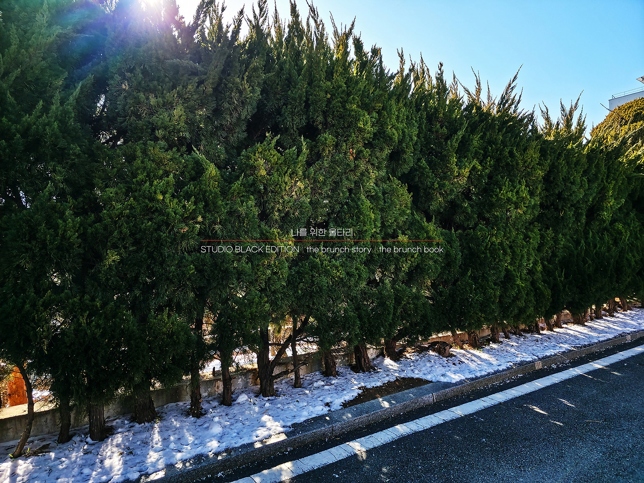 THE BRUNCH STORY 515.jpg