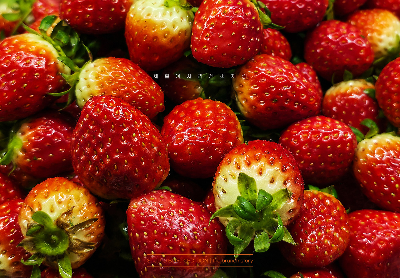 THE BRUNCH STORY 697.jpg