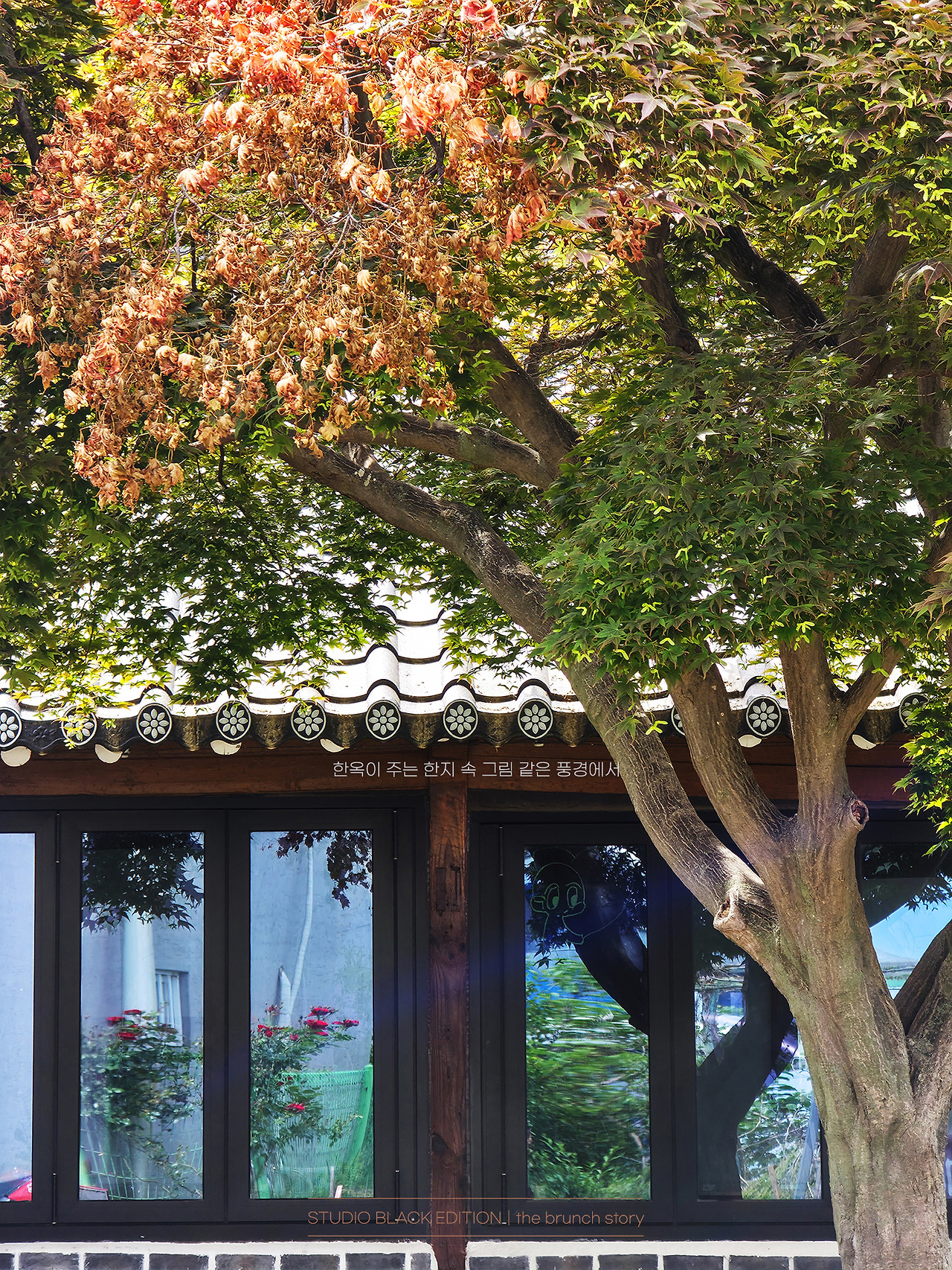 THE BRUNCH STORY 625.jpg