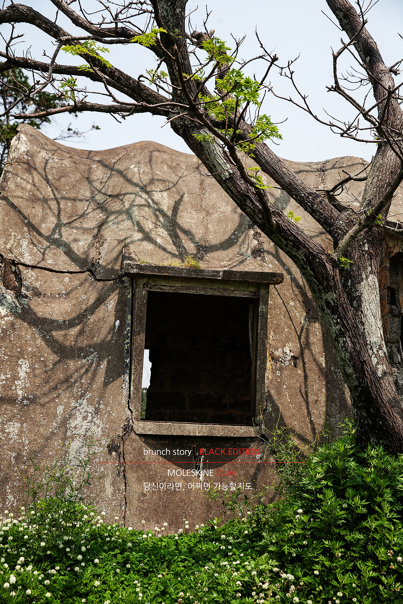 MOLESKINEDiary098.jpg