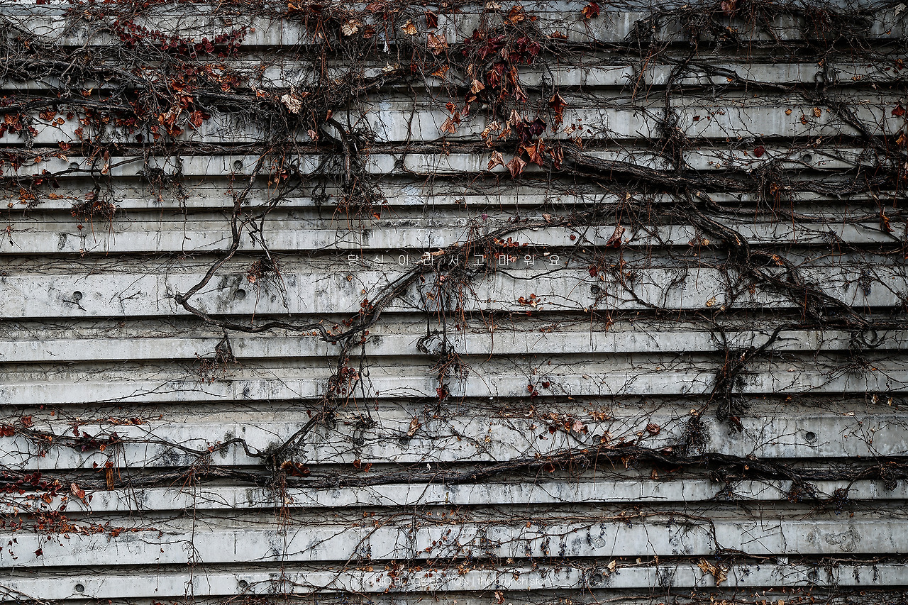 THE BRUNCH STORY 825.jpg