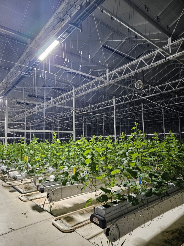 다운로드 (2).jpg