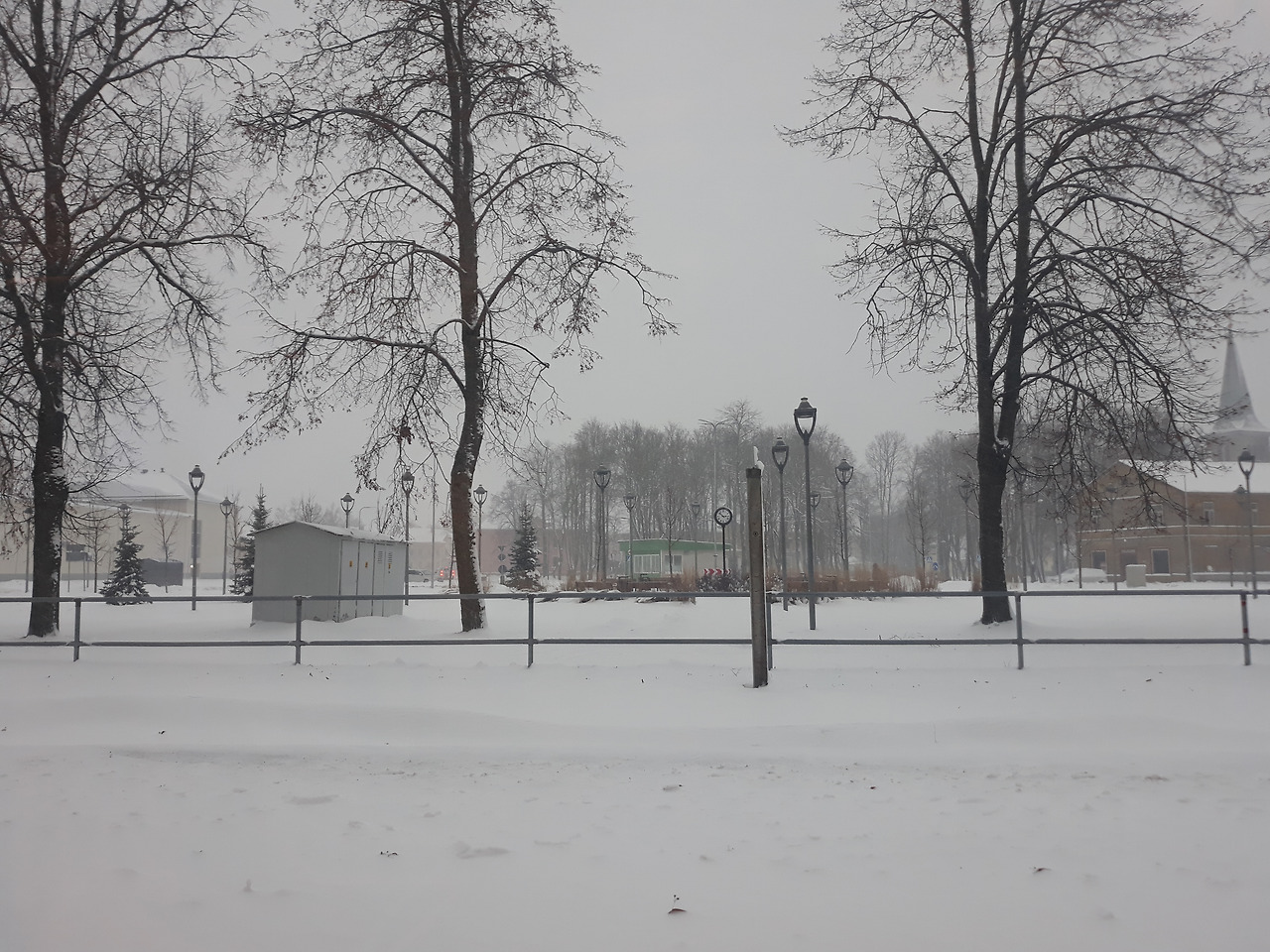 2021-01-12 14.55.39.jpg