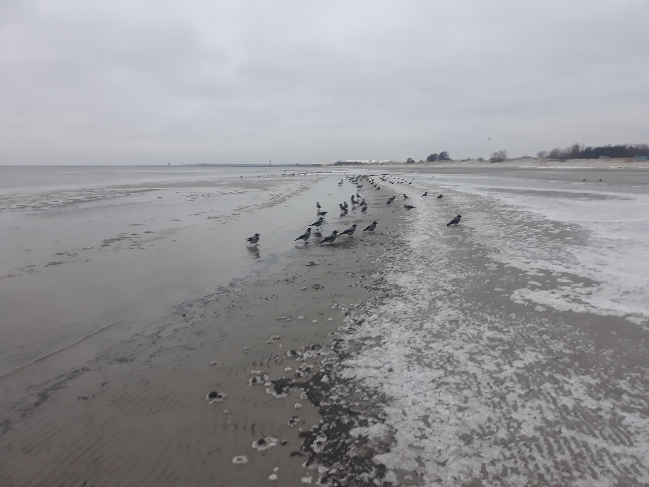 2021-01-06 15.22.09.jpg