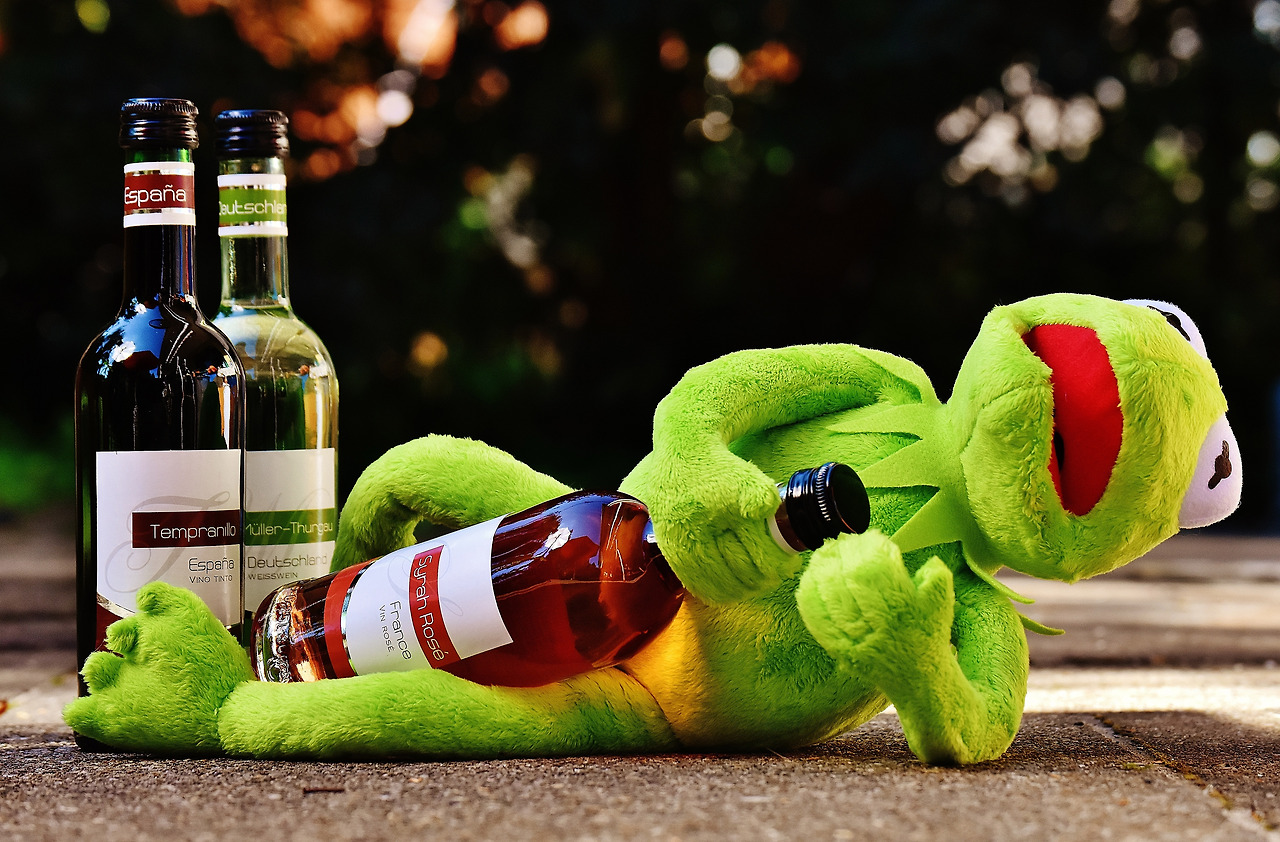 kermit-with-a-bottle-wine.jpg