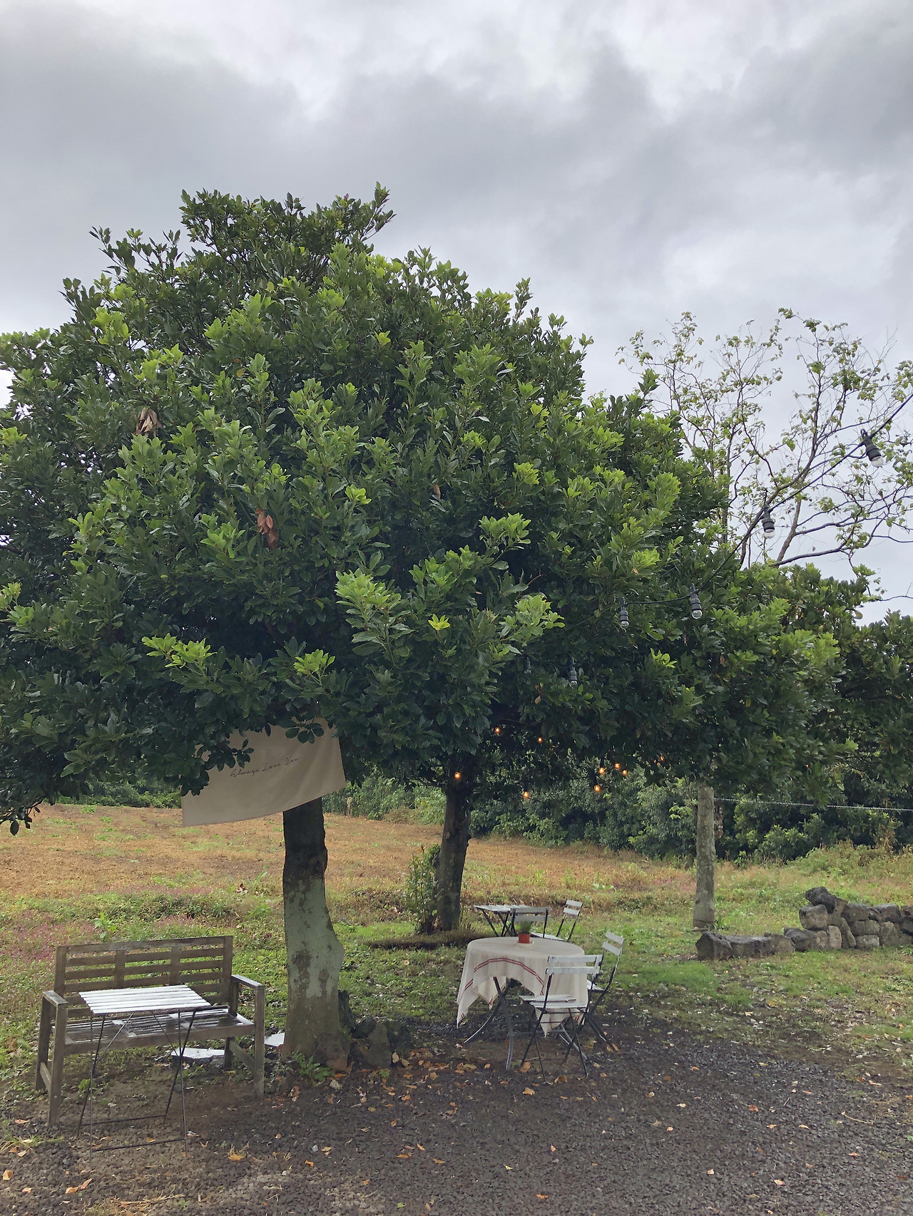 식당인가 카페인가3.jpg