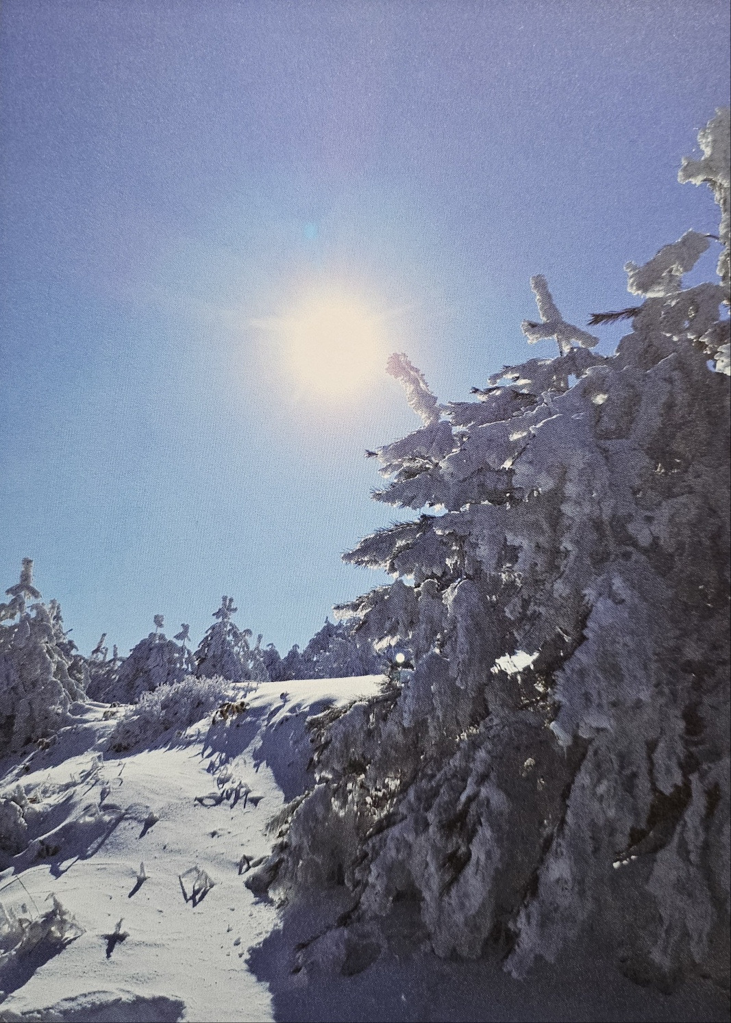 나의 겨울은 스키장에 있다.jpg