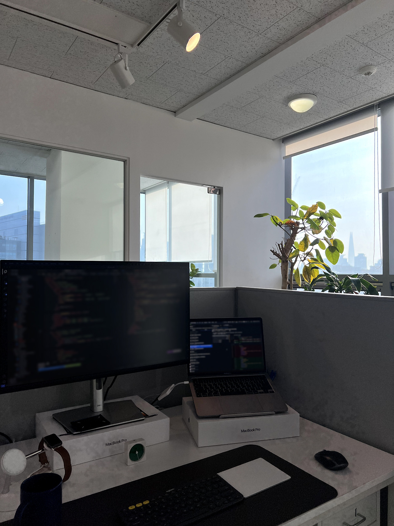 딕스 자리.jpg