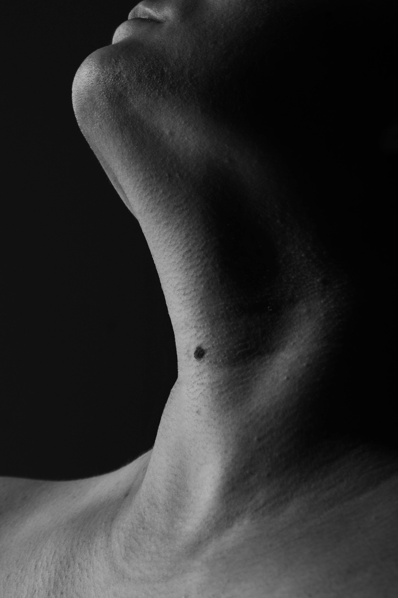 말과기억을잃은 (6).jpg