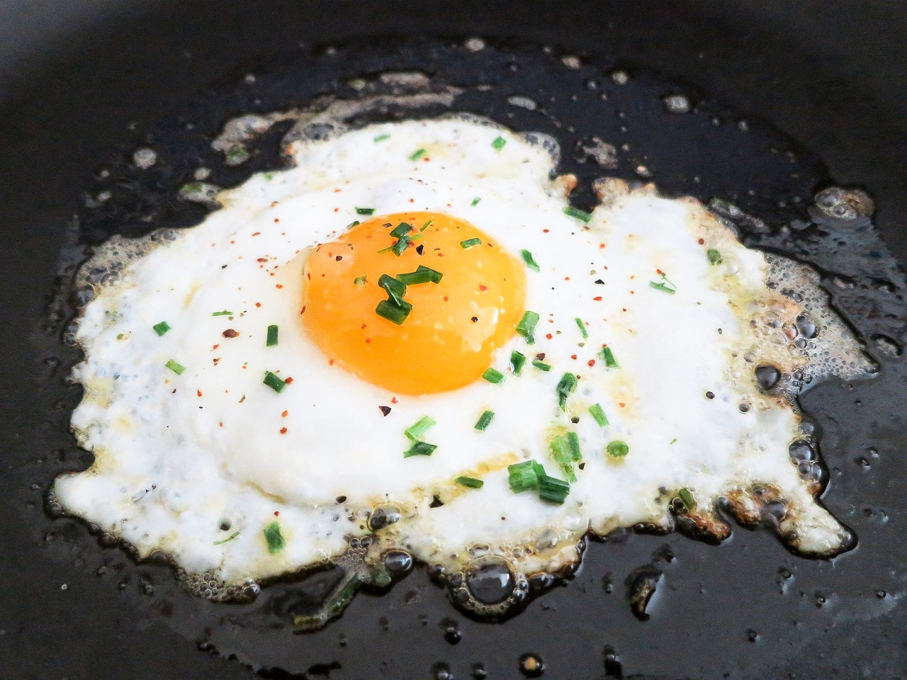 fried-egg-g9e48fdc5b_1280.jpg