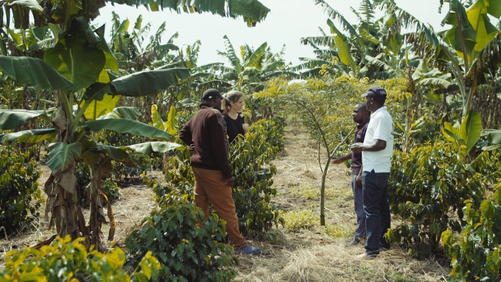 Uganda-coffee-agroforestry-field-discussion-1024x576.jpg
