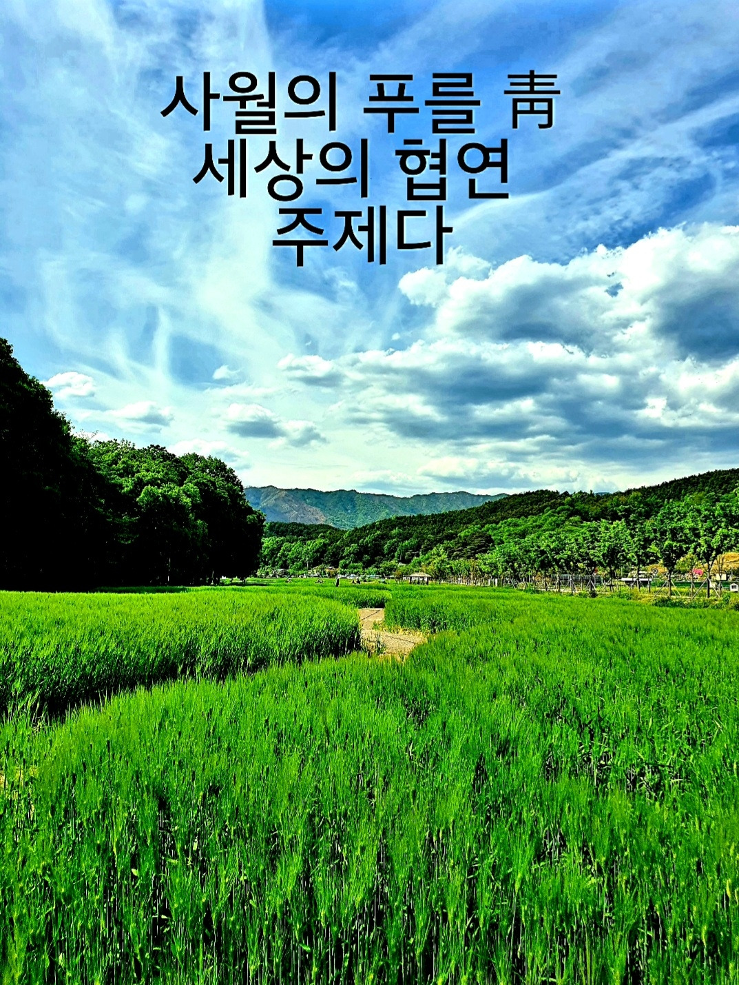 하늘 아래 글 한 줄