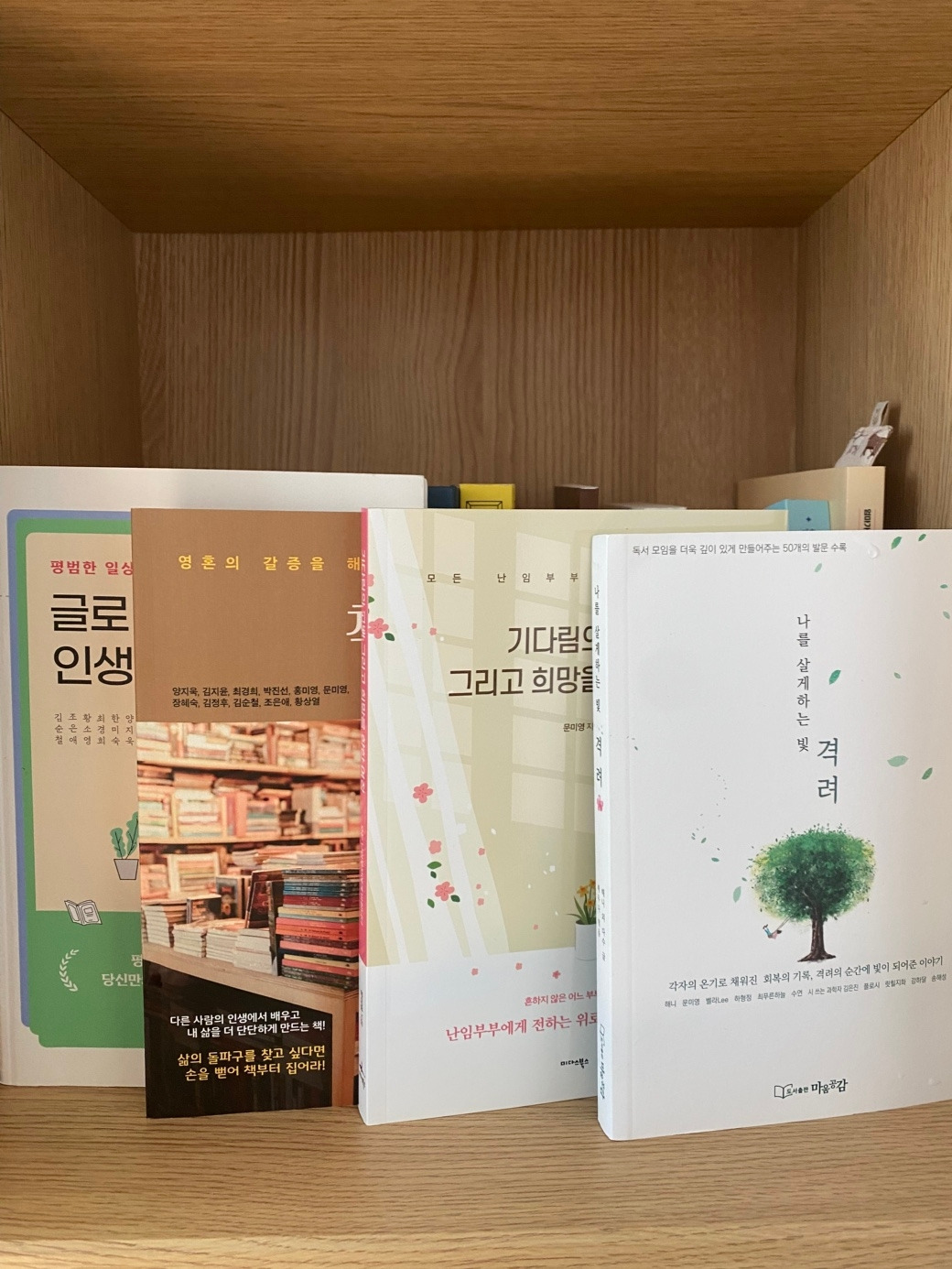 무료 카지노 게임