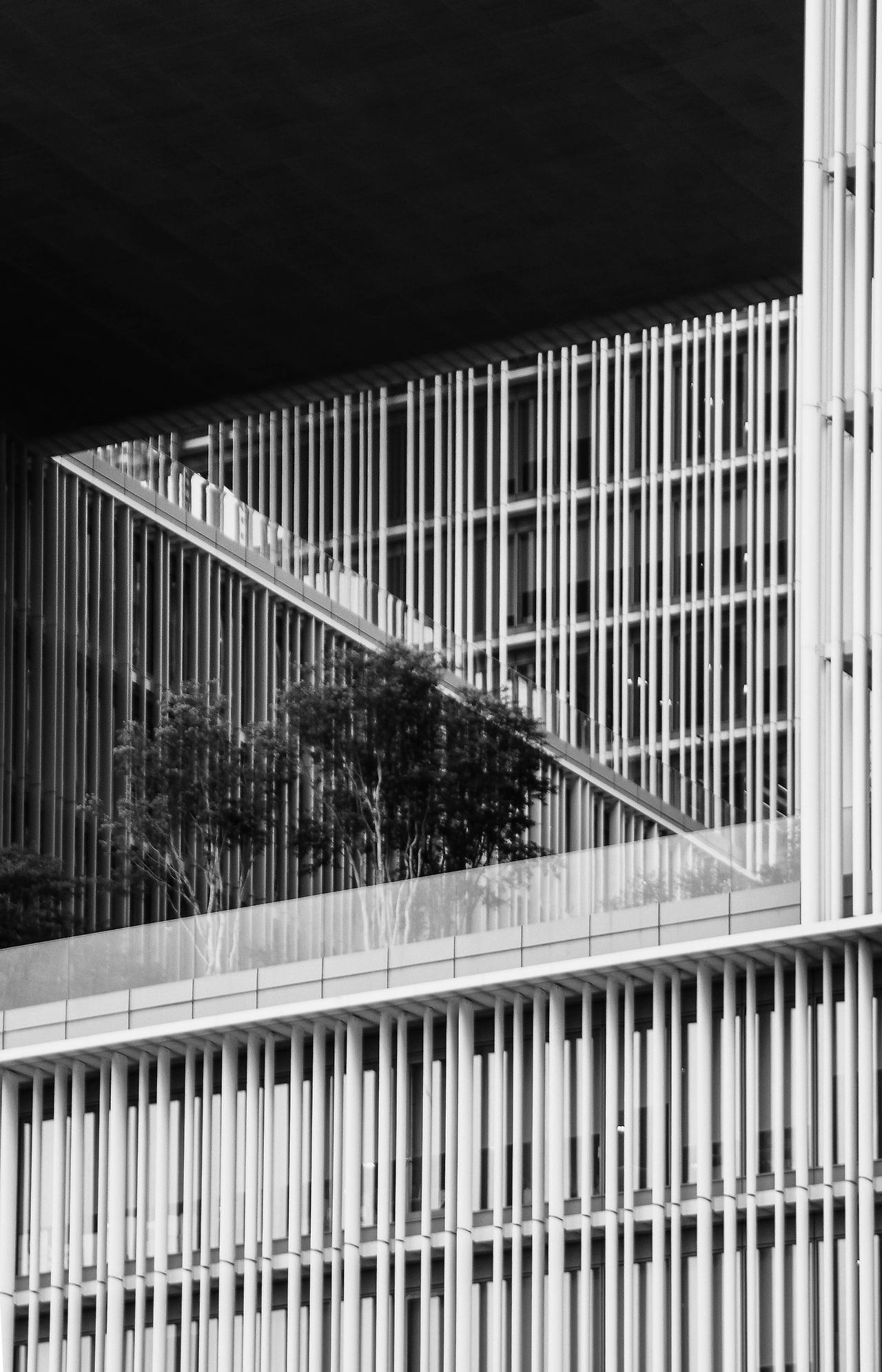 아모레퍼시픽(Detail 2)_Crop'_BW.jpg