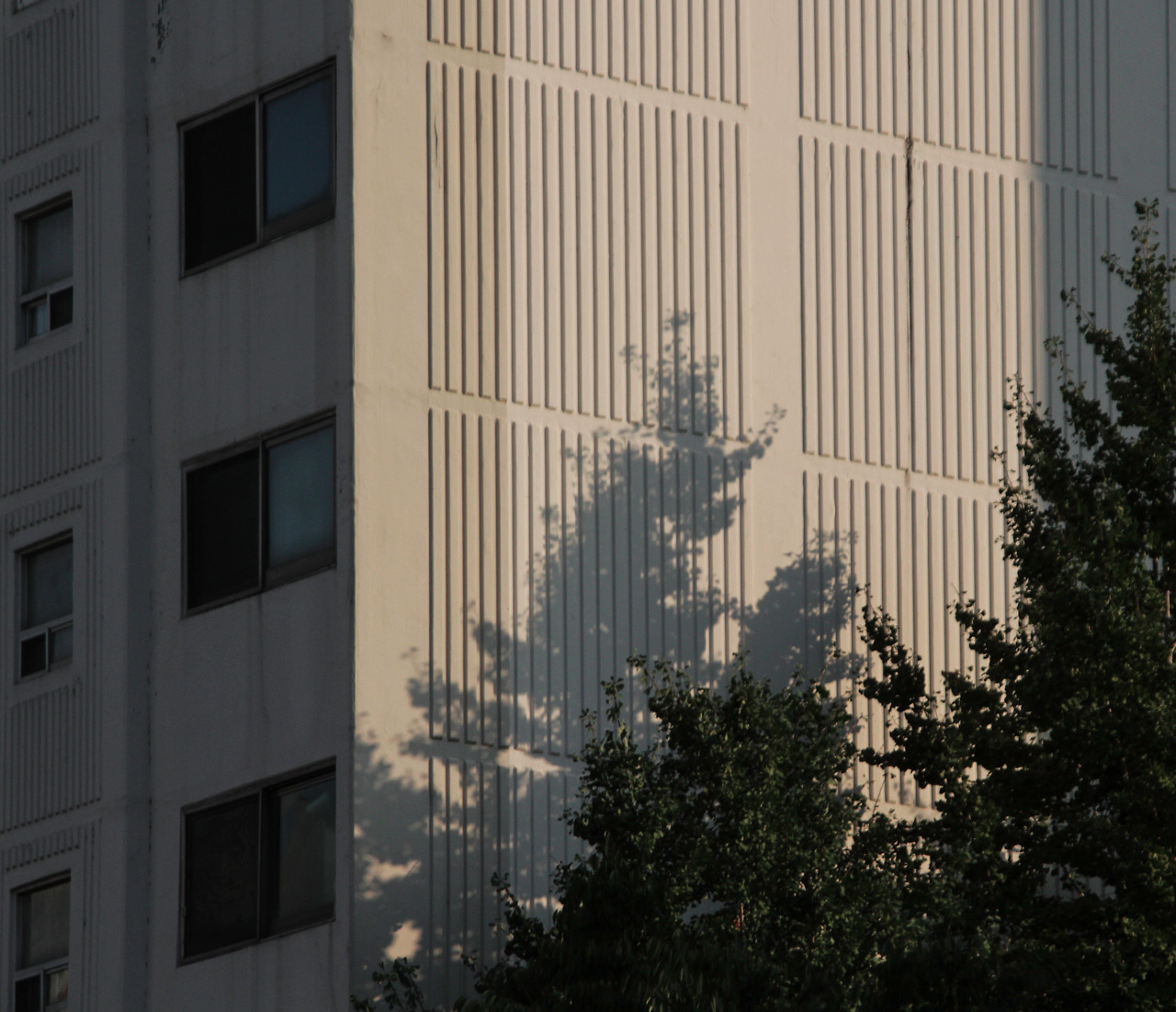 일산 아파트.jpg