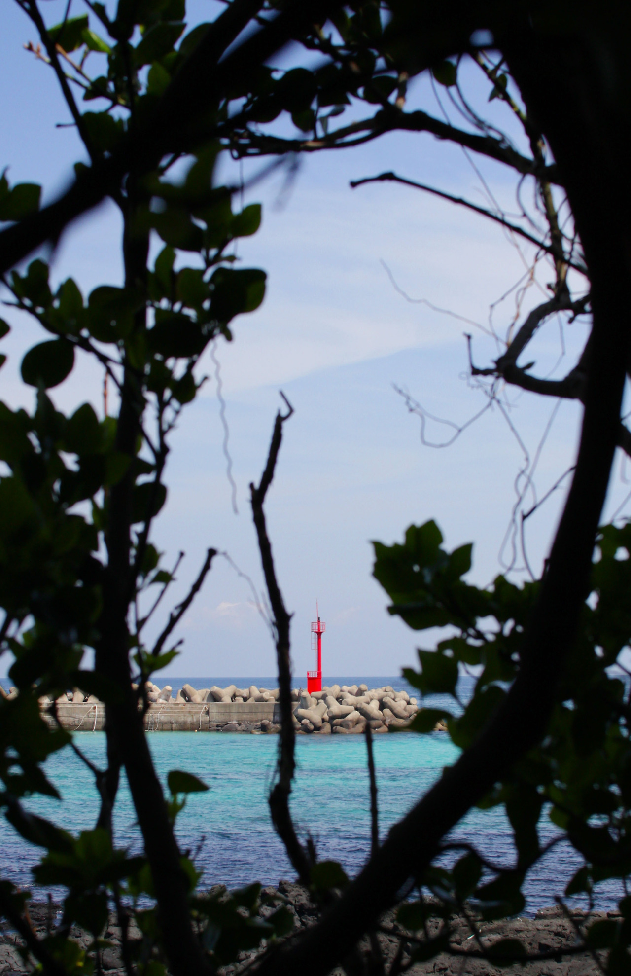 공백 등대_Crop.jpg