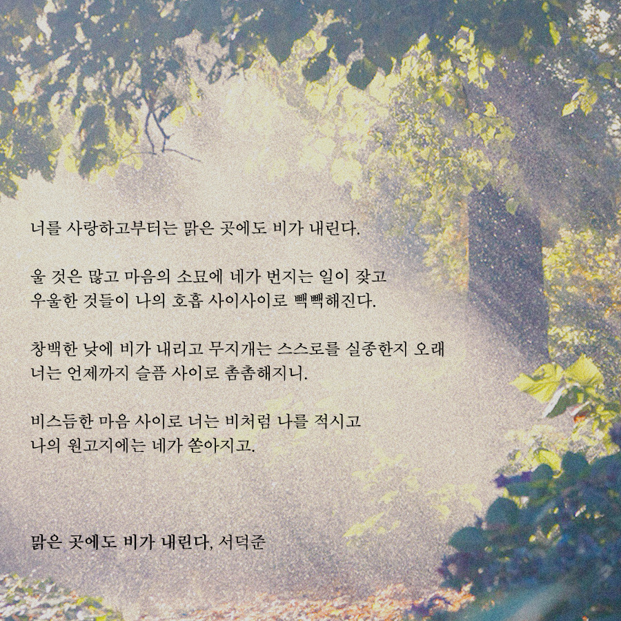 맑은 곳에도 비가 내린다.jpg