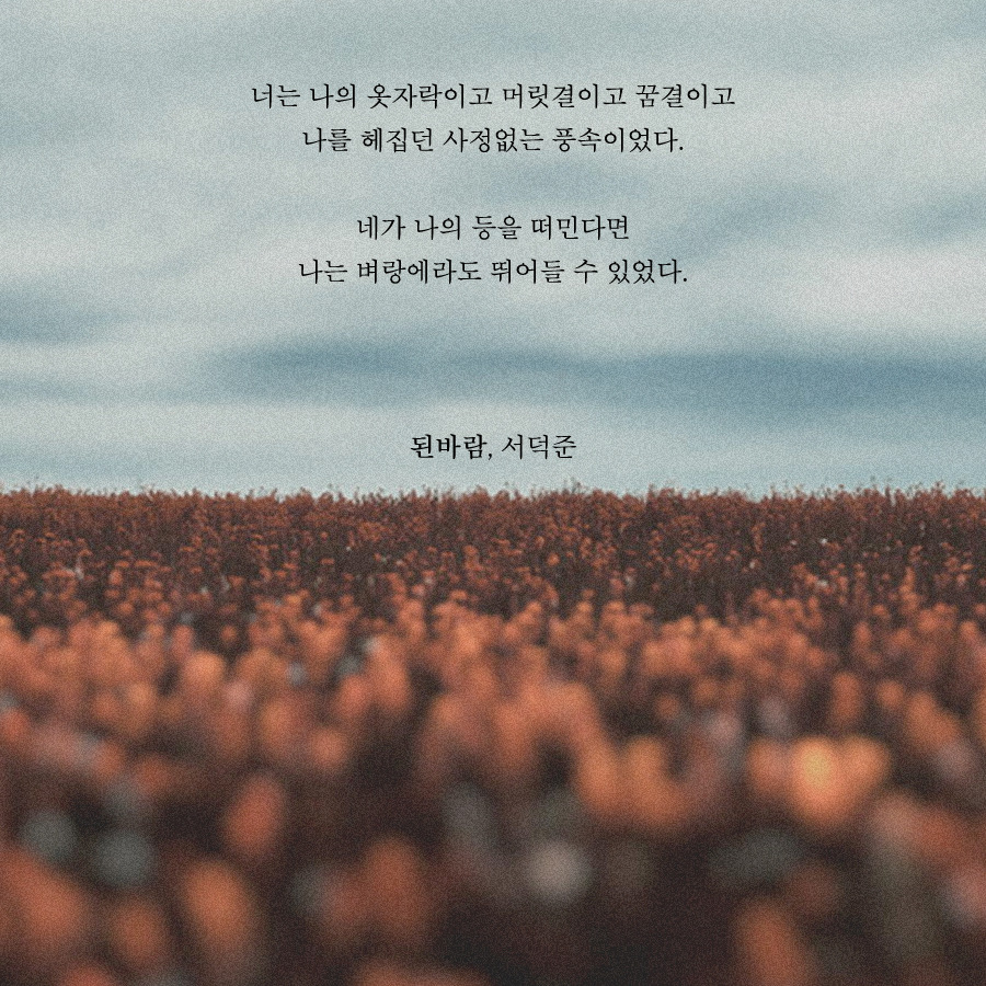 된바람.jpg