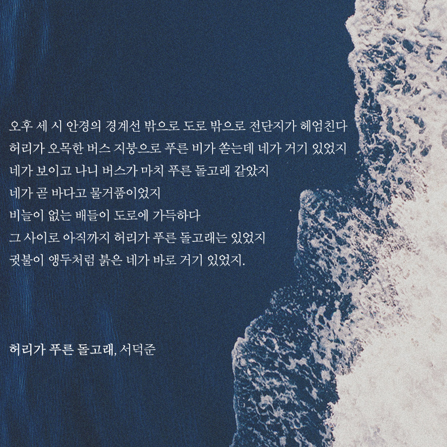 허리가 푸른 돌고래.jpg