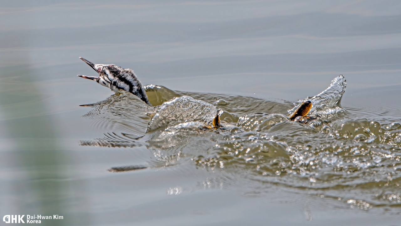 210828-271 천수만.jpg