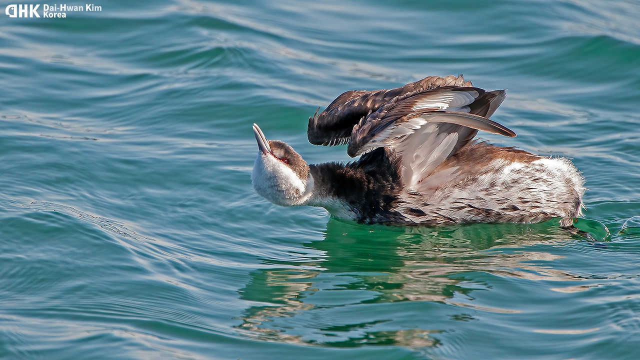 130126_610 오산항 복사.jpg