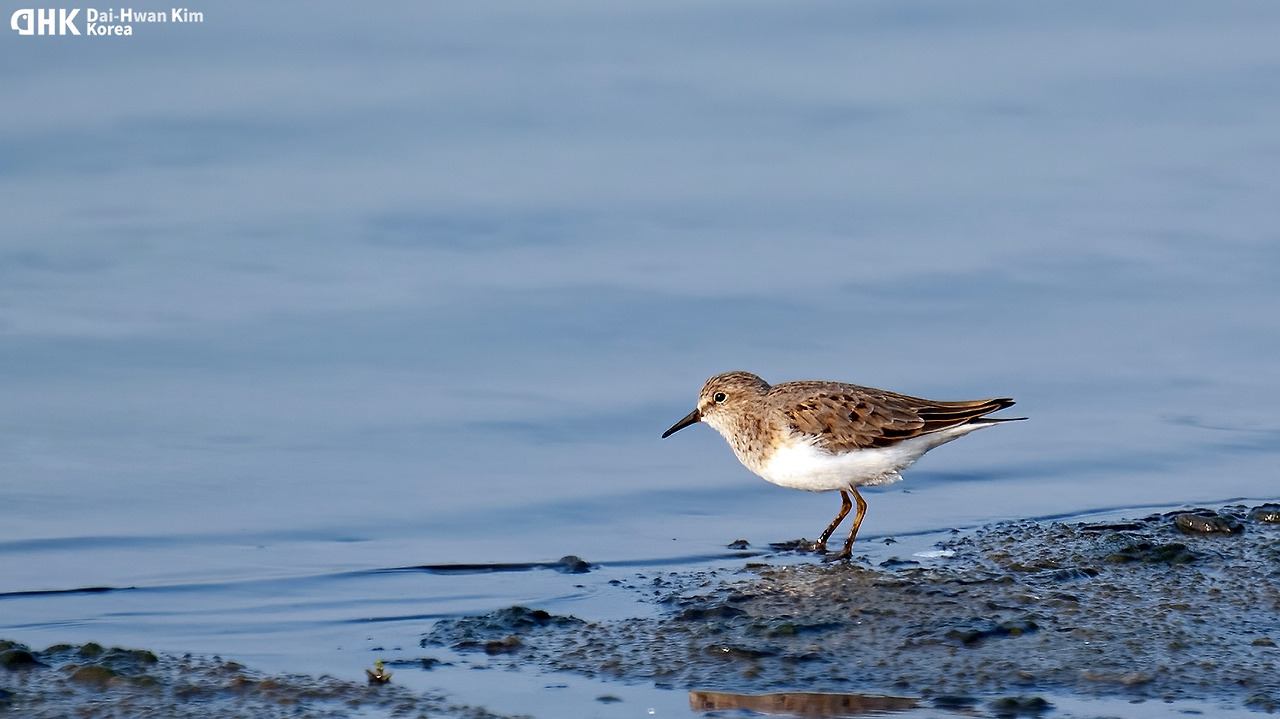 080410송도 (8).jpg