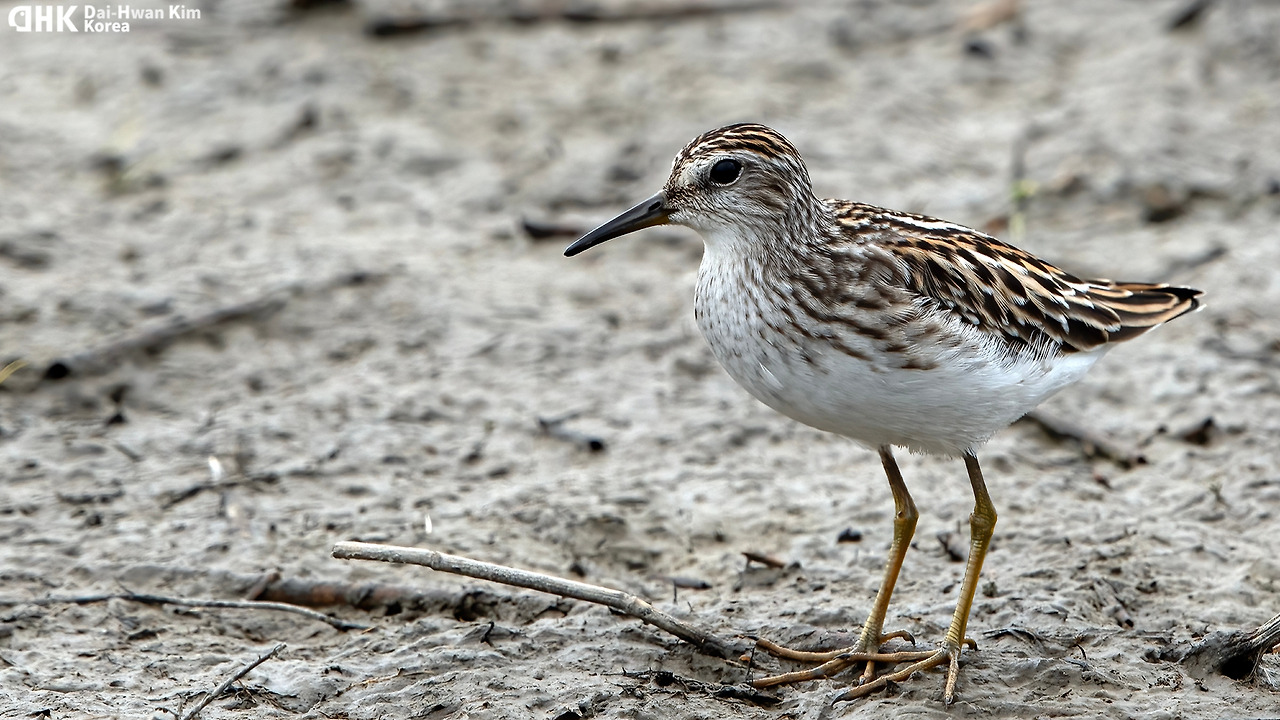 210905-322 화성호.jpg