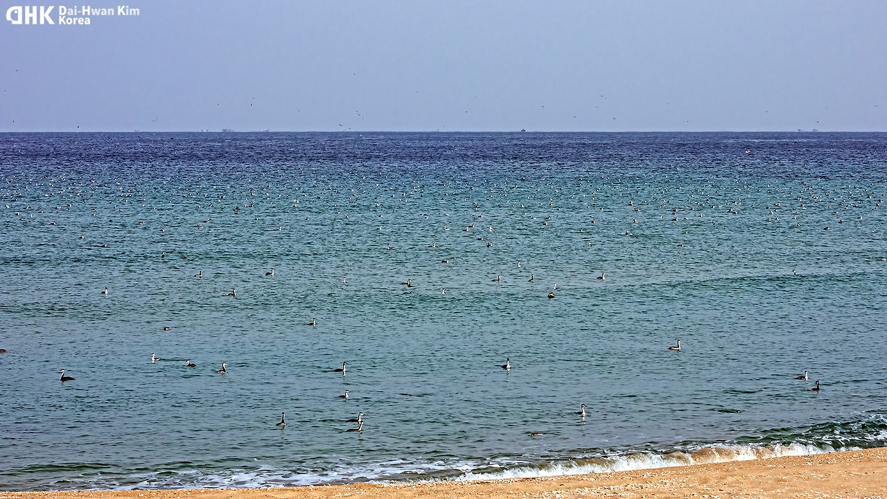 230106_583 미 대진항.jpg