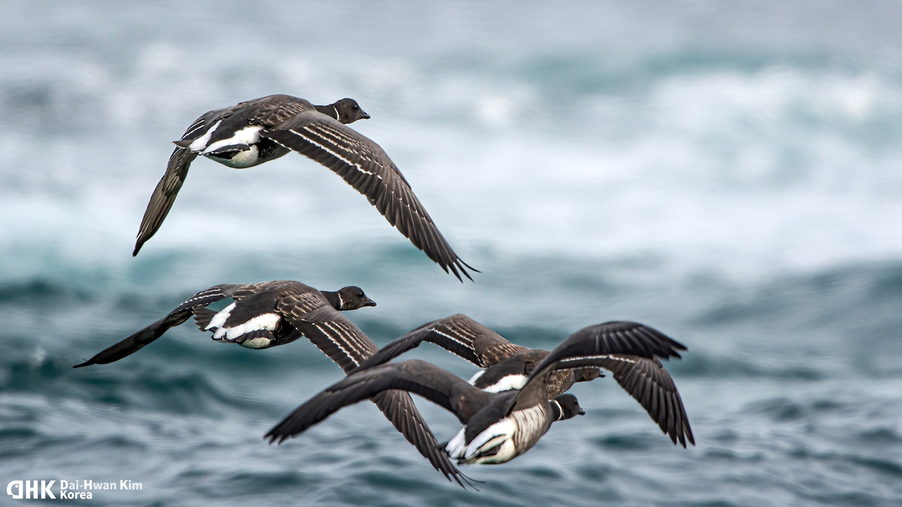 김대환 20141207-02 아야진.jpg