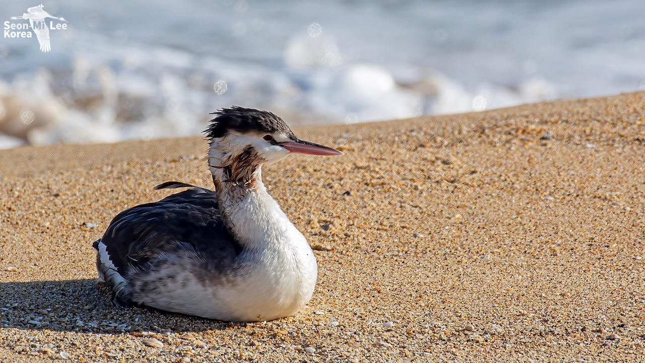 이선미 20220111-01 고성.jpg