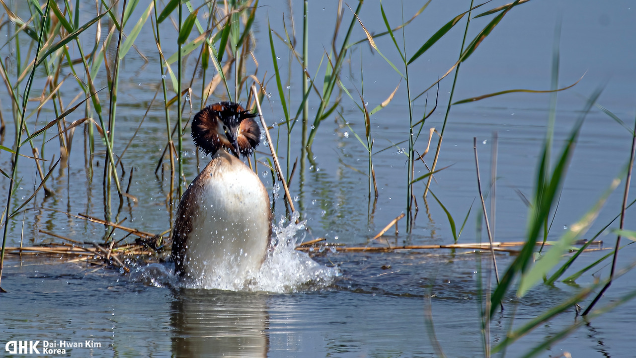 20180616-136 서산 천수만.jpg