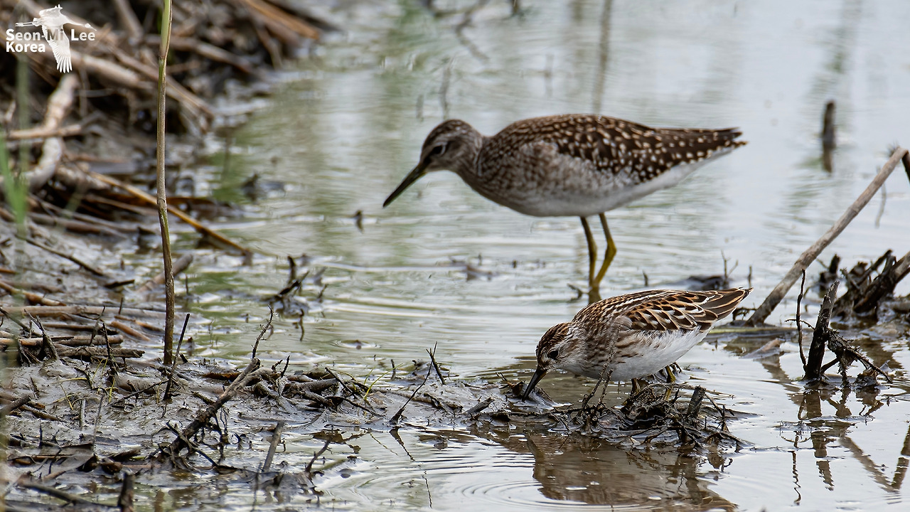 이선미 20210905-50 화성호.jpg
