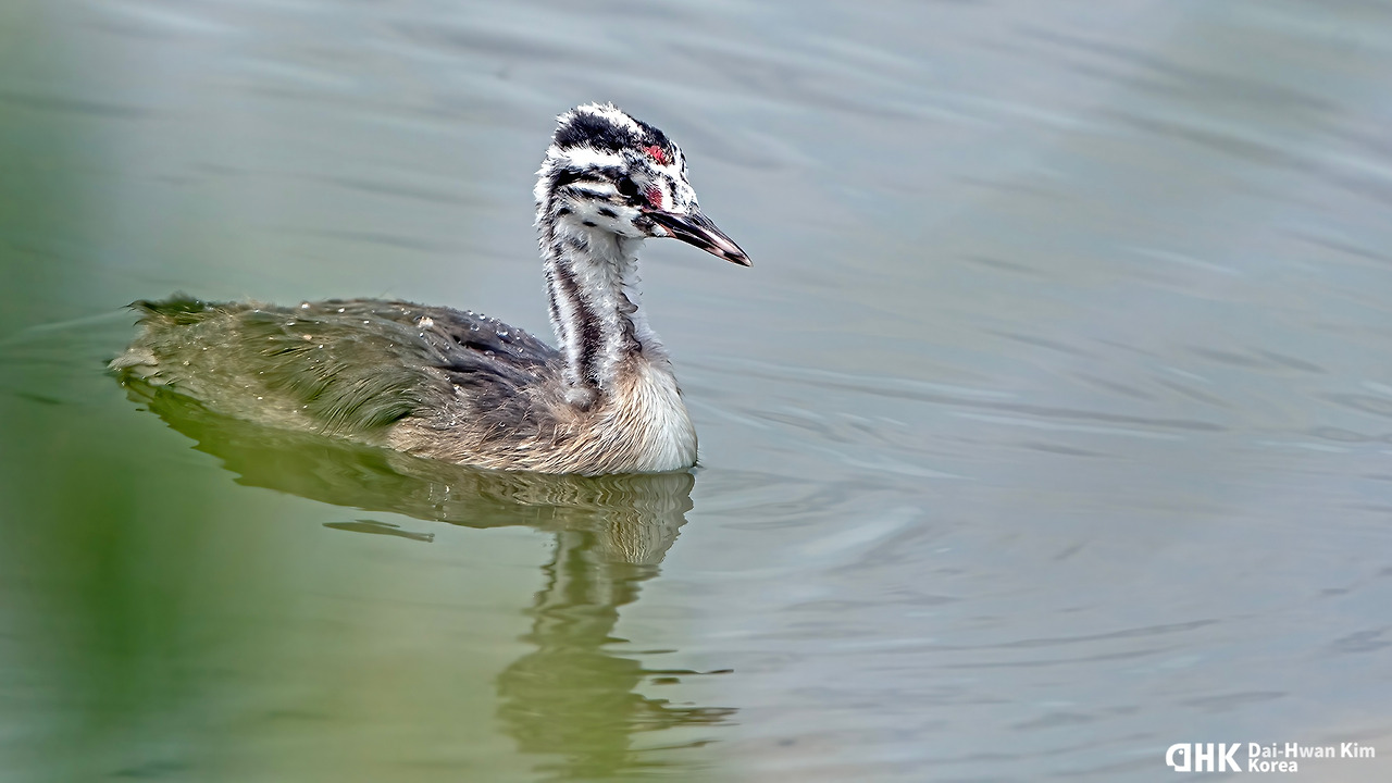 210828-280 천수만.jpg