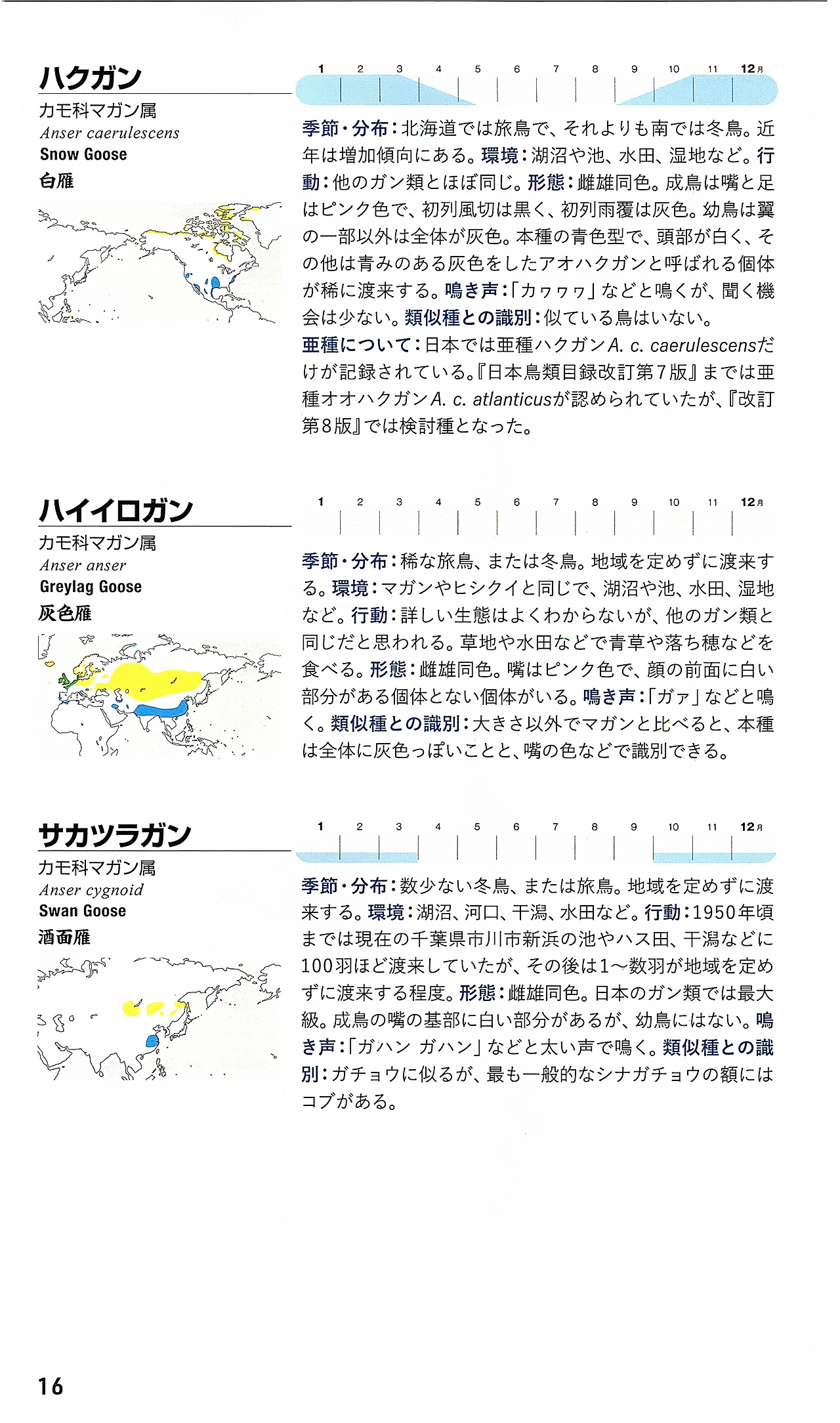 일본 세밀화 도감_0016.jpg