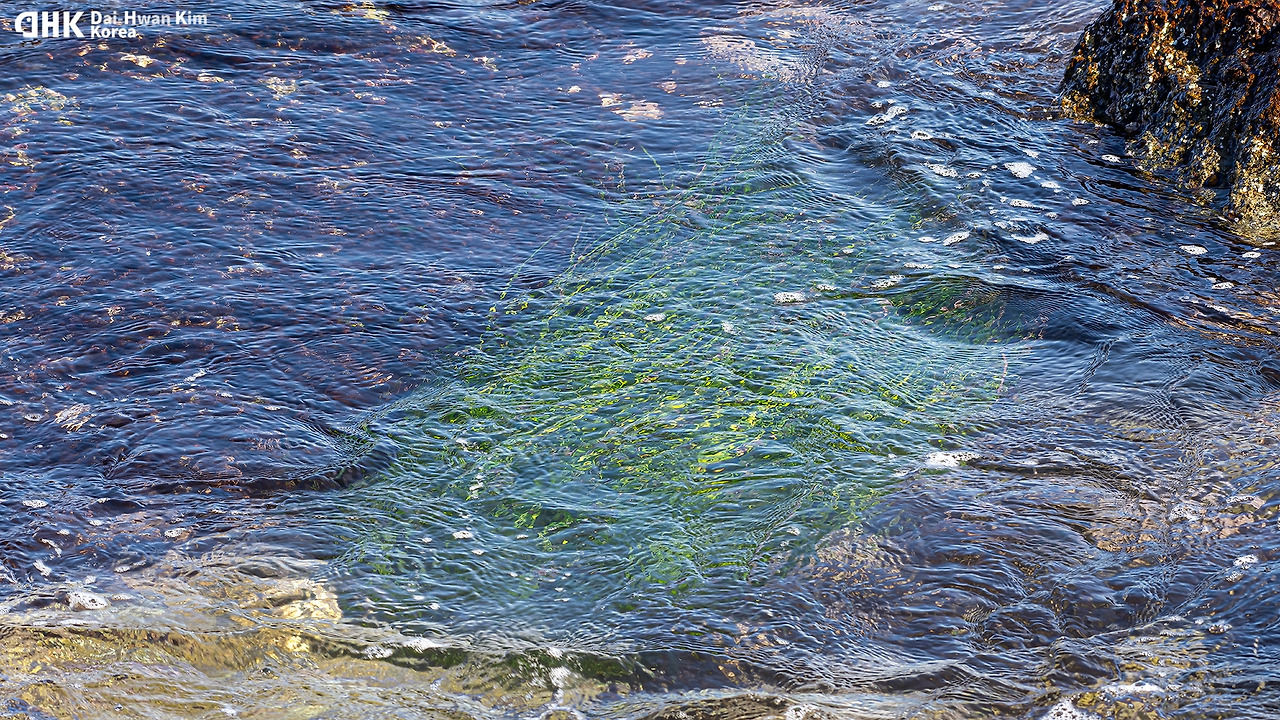 김대환 20170218 구룡포.jpg