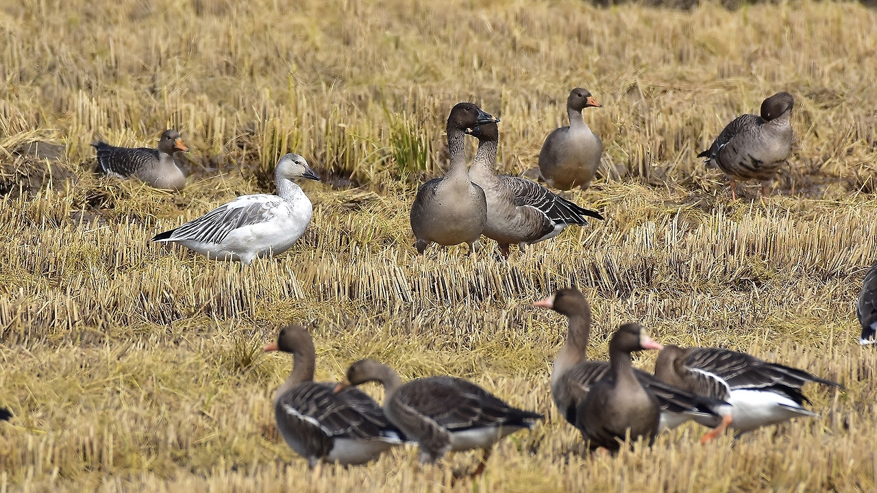 20161015-951 문산1.jpg